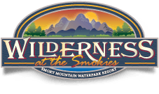Wilderness at the Smokies and the New WALL Waterslide
