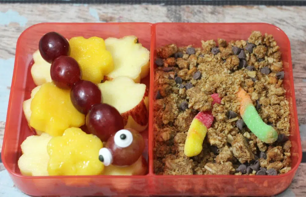 A bear-shaped bento box filled with fruit and granola.