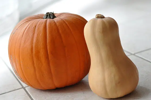 3 Ways to Spruce Up Your Home for the Fall Season