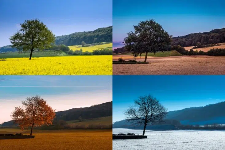 How to Treat Your Lawn Through the Seasons