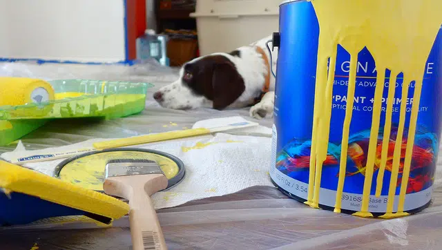 8562912852_048aed64c7_z