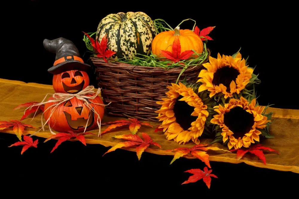 Halloween Candy Alternatives