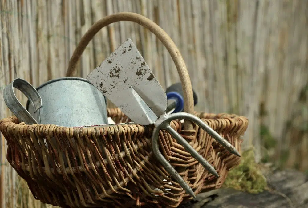 Different Ways to Save on Your Gardening Tools Online