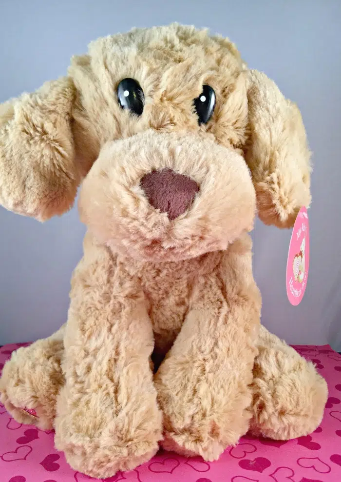 heartbeat bear