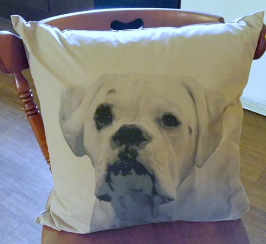 pillows that look like your pet