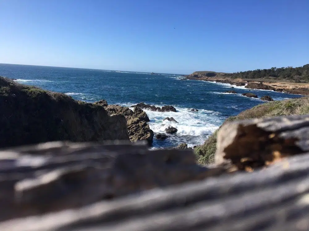 Point Lobos Park 