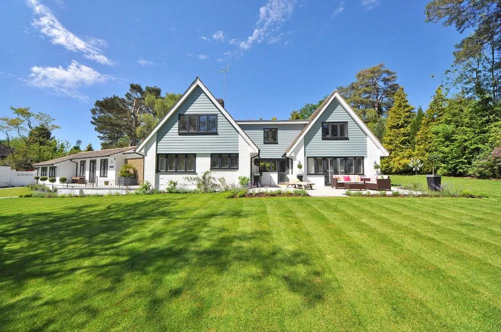 5 Things You Need to Do in Your Home and Garden this Summer