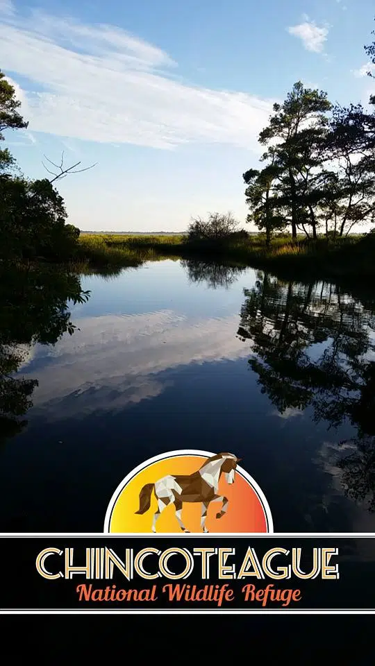 Chincoteague Island