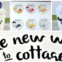 Muuna Cottage Cheese