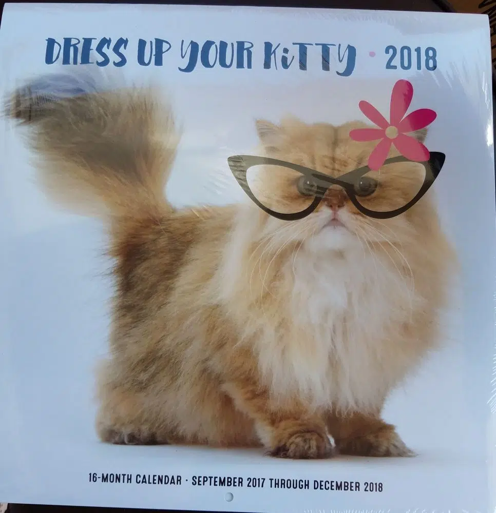 Coolest Cat Calendars for 2018
