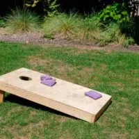 5 Summer Hobby Ideas
