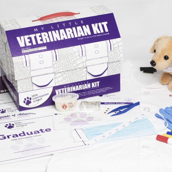 vet kit for teenager