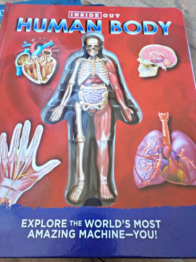 Cool Books Human Body