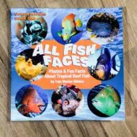 little fishes