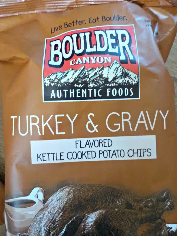 Thanksgiving dinner turkey and gravy