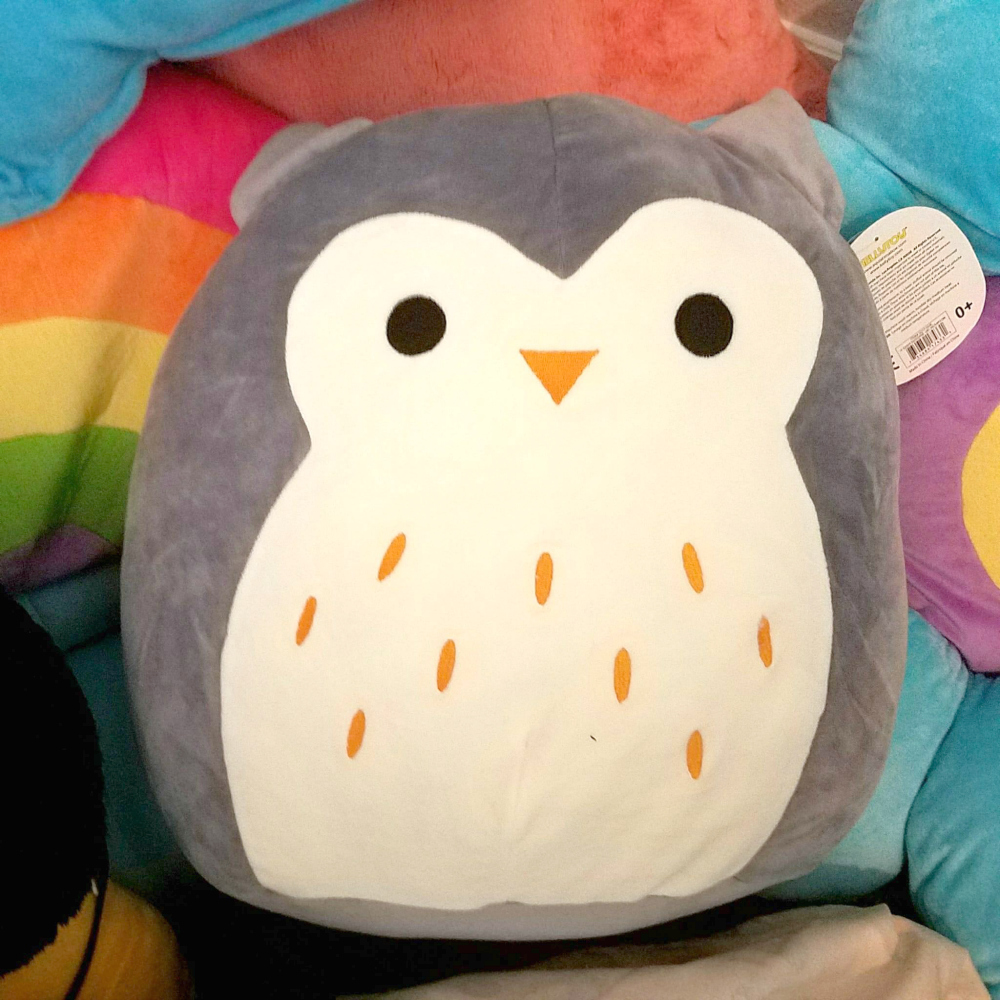 cutest squishmallow in the world