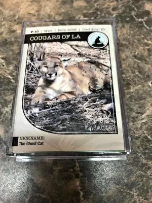 Perfect Stocking Stuffing Trading Card Collection For Kids