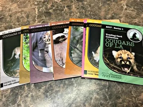 Perfect Stocking Stuffing Trading Card Collection For Kids