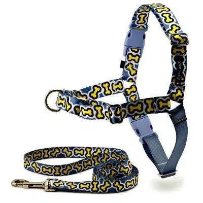 Pet Parents Can Surprise Their Animals With Holiday Gifts