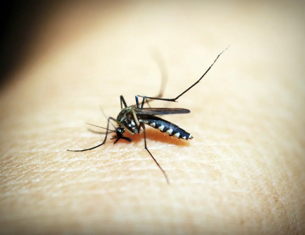 Principles and Benefits of Integrated Pest Management