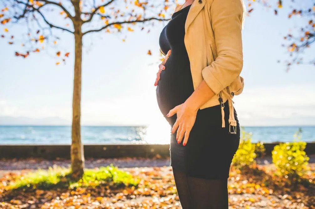 What to Eat During Your First Pregnancy Trimester