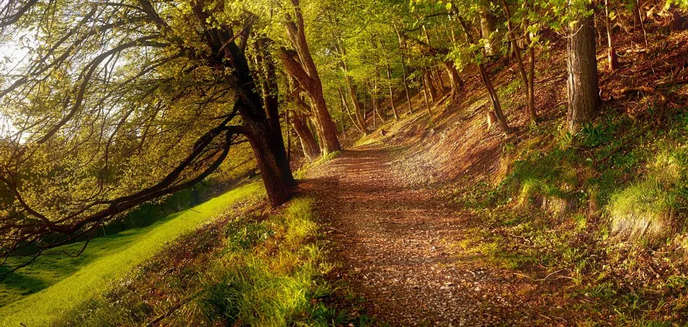 Patriot Company That Thrives To Make A Difference