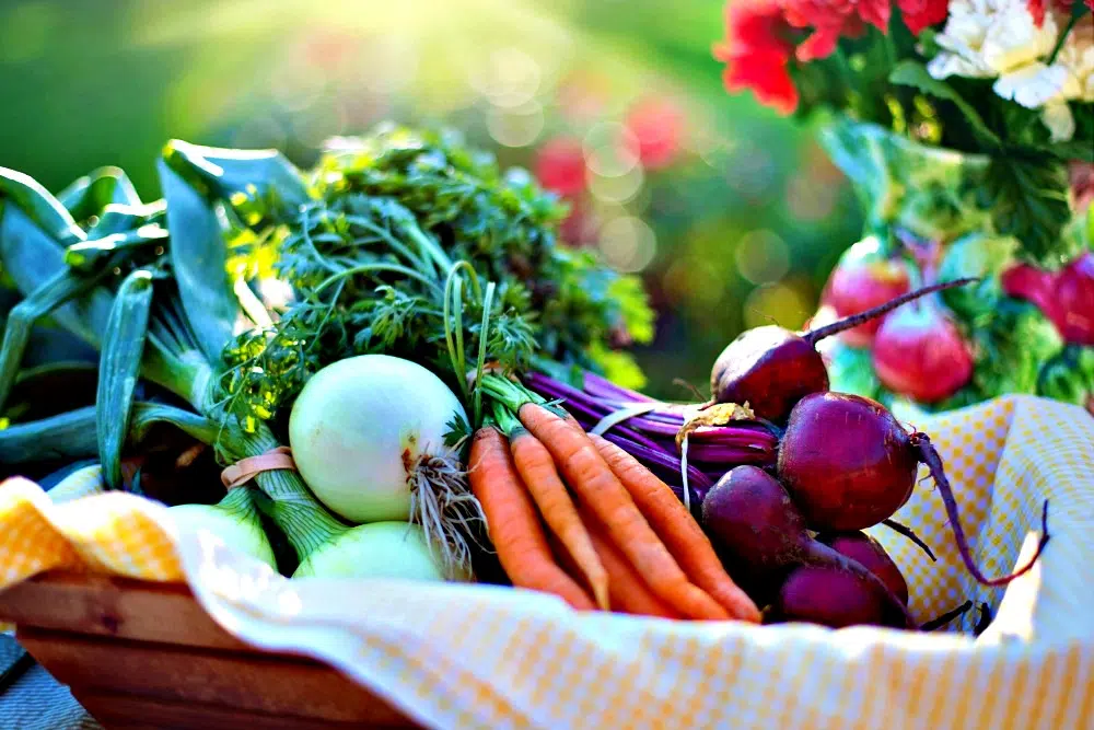 SUPER FOODS CAPABLE OF IMPROVING BRAIN FUNCTIONS