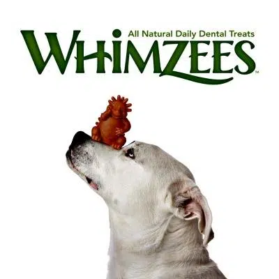 Take Dental Care For Your Pups To New Heights