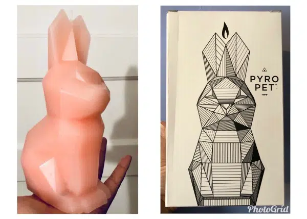 Check Out this Surprisingly Unique Bunny Candle from the Pyro Pet Candle Company! 1