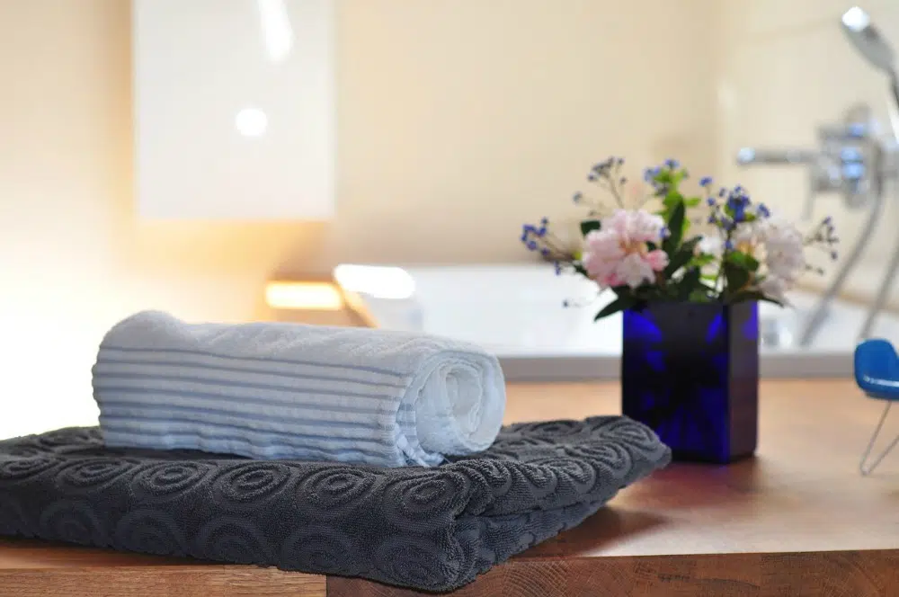 Great Bathroom Cleaning Tips