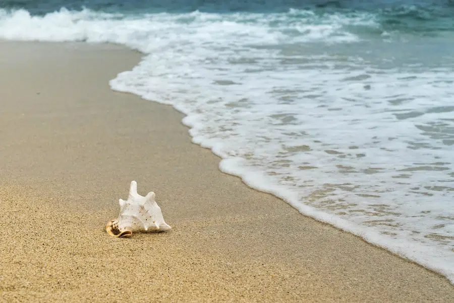 Eight Tips To Change Your Life For The Better