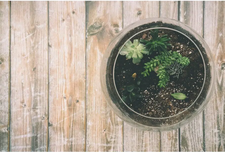 How to Use Tung Oil on Your Floor