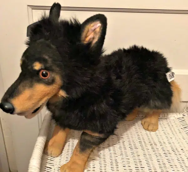 Surprise Mom with Her Favorite Pet Lookalike from Petsies! 1