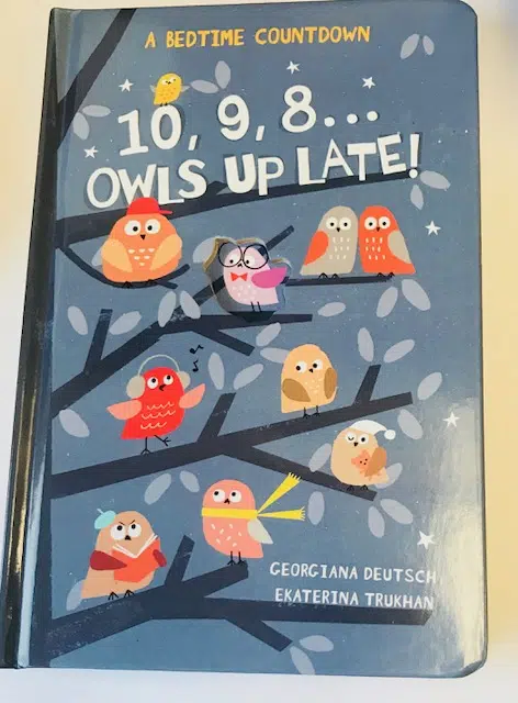 a fun way to teach your toddler how to count