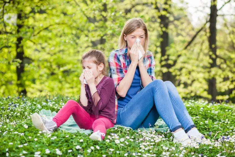 HOW CAN YOU NATURALLY ALLEVIATE ALLERGY SYMPTOMS AT HOME?