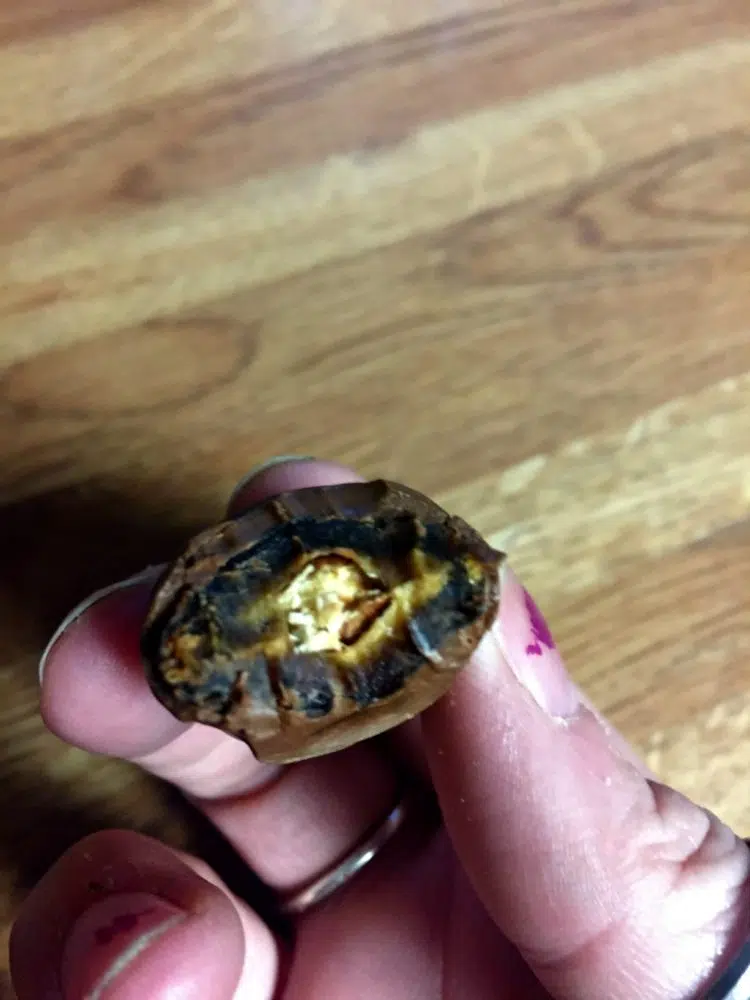Tasty Treats Made From Dates