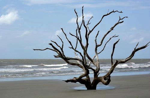 Boneyard Beach