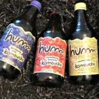 Humm Kombucha The Daily Pick-Me-Up That Will Make You Feel and Do Better 1