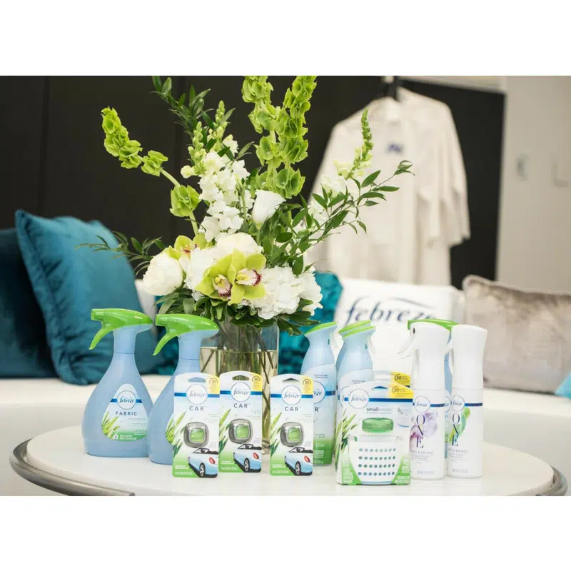 Reasons Why A Safe & Happy Home Is A Febreze Home