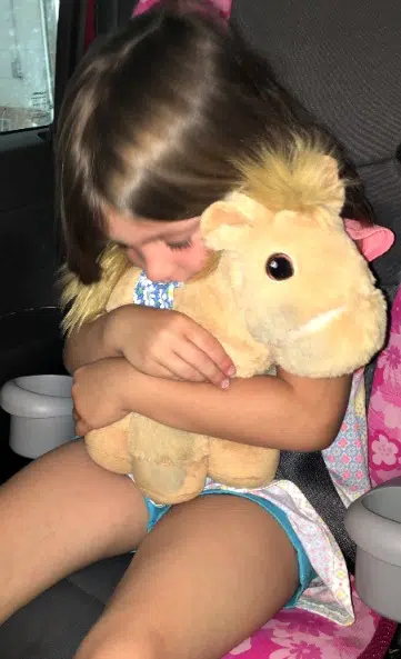 Piccoli Horses Get Little Ones up And Moving