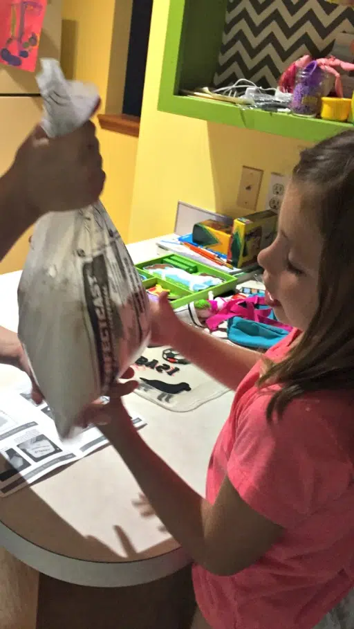 Memories Made in Stone