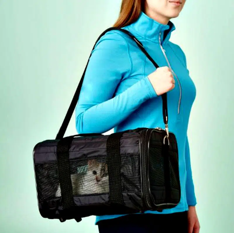 Always Travel In Comfort And Style With Sherpa