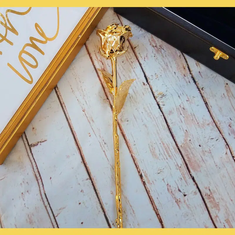Celebrate Any Occasion With The Eternity Rose