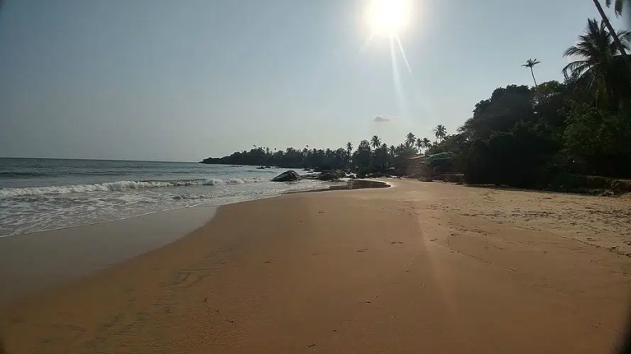 Goa