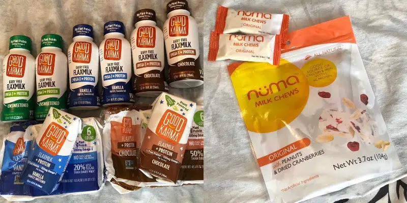 Back to School Snack Must Haves 1