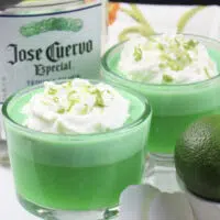 Margarita Parfaits
