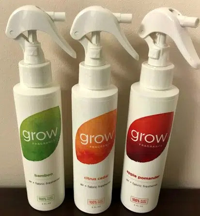 Eliminating Home Odor the Eco-Friendly Way