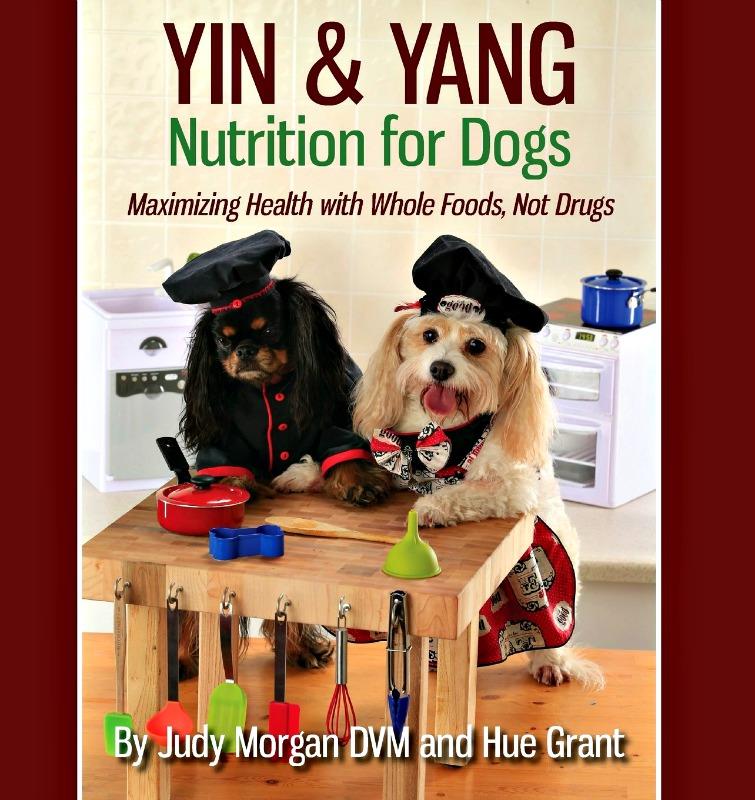 Prepare Food That Your Pets Are Going To Love