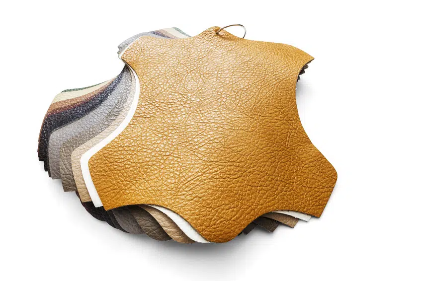 vegan mushroom leather