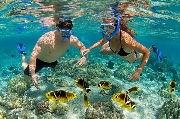 4 Top Things to Do in the Cayman Islands